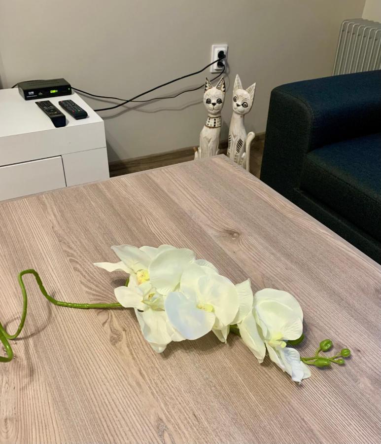 ,,Адела”-Апартамент За Гости Velingrad Kültér fotó
